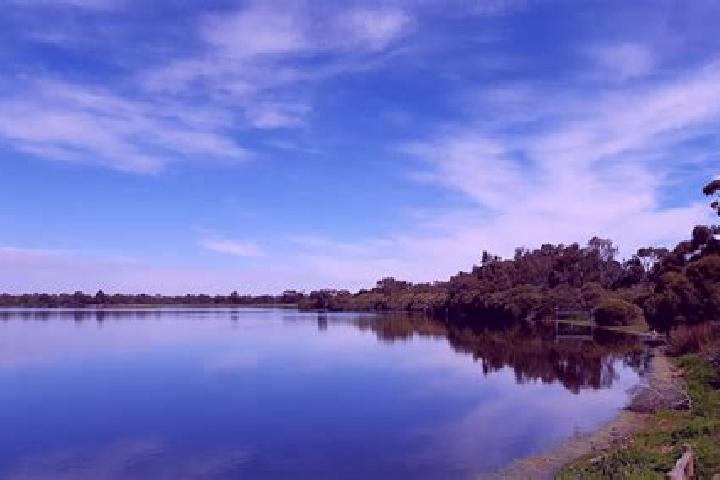 Ivy, 34 — Escort in Bibra Lake, Australia