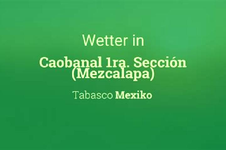 Ivy, 34 — Escort in Caobanal 1ra. Seccion (Mezcalapa), Mexico