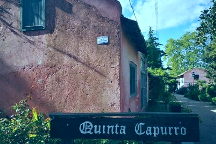 Ivy, 34 — Escort in Capurro, Uruguay