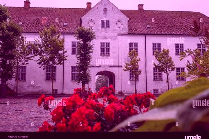 Ivy, 34 — Escort in Kloster, Denmark