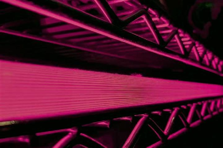 Ivy, 34 — Escort in Magenta, Italy