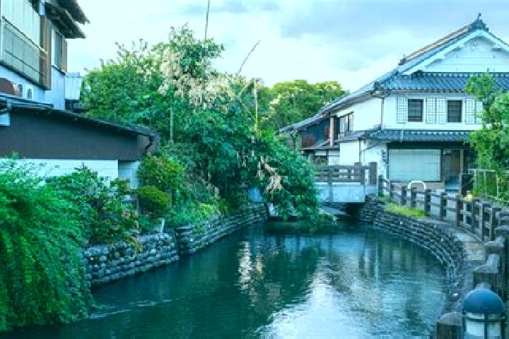 Ivy, 34 — Escort in Ukiha, Japan