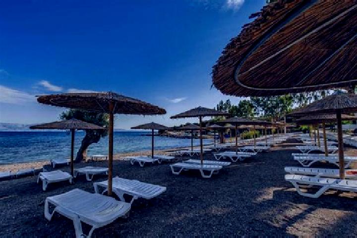 Ivy, 35 — Escort in Amarynthos, Greece