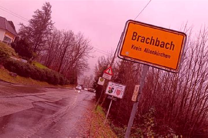 Ivy, 35 — Escort in Brachbach, Germany