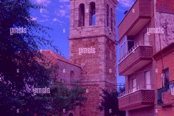 Ivy, 35 — Escort in Camarma de Esteruelas, Spain