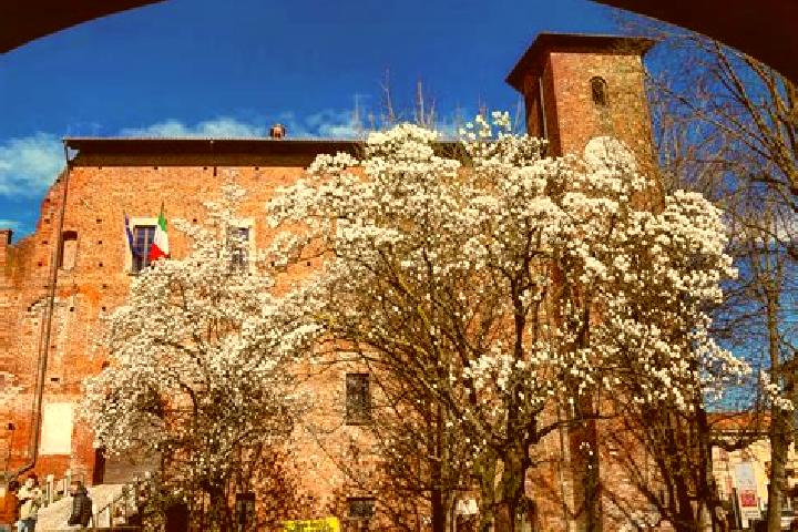 Ivy, 35 — Escort in Cernusco sul Naviglio, Italy