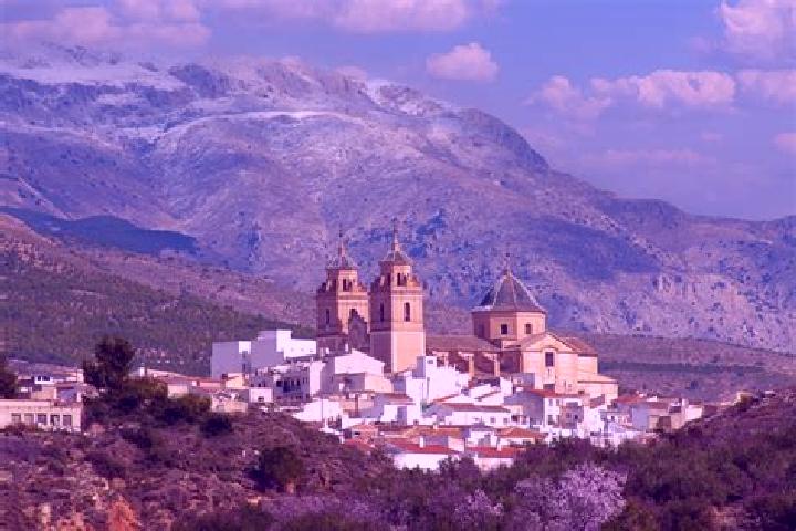 Ivy, 35 — Escort in El Rubio, Spain