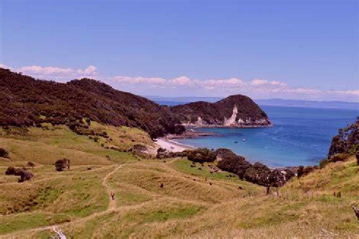 Ivy, 35 — Escort in Kingsland, New Zealand