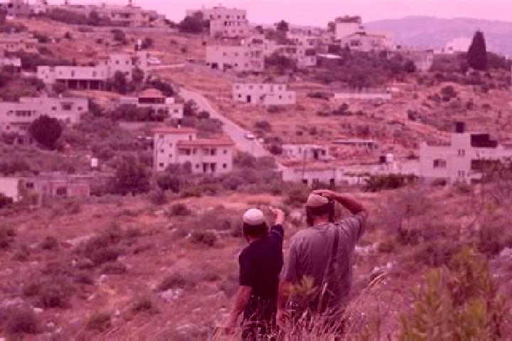 Ivy, 35 — Escort in Kokhav Michael Sobell, Israel