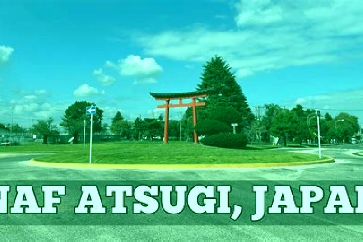 Ivy, 36 — Escort in Atsugi, Japan