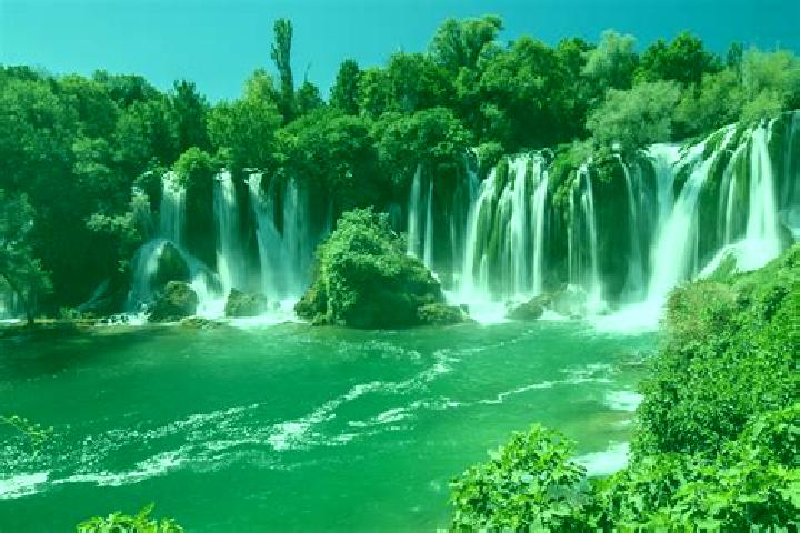 Ivy, 36 — Escort in Bosanski Kobas, Bosnia and Herzegovina