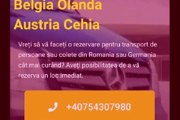 Ivy, 36 — Escort in Calnicu de Sus, Romania