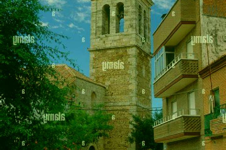 Ivy, 36 — Escort in Camarma de Esteruelas, Spain