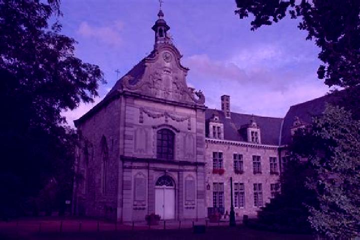 Ivy, 36 — Escort in Fontaine-l Eveque, Belgium
