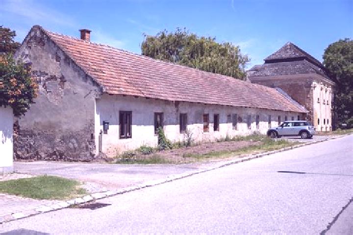 Ivy, 36 — Escort in Gattendorf, Austria