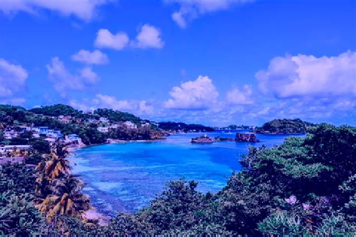 Ivy, 36 — Escort in Gomea, Saint Vincent and the Grenadines