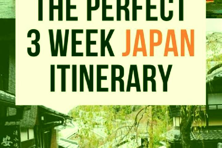Ivy, 36 — Escort in Inagi, Japan
