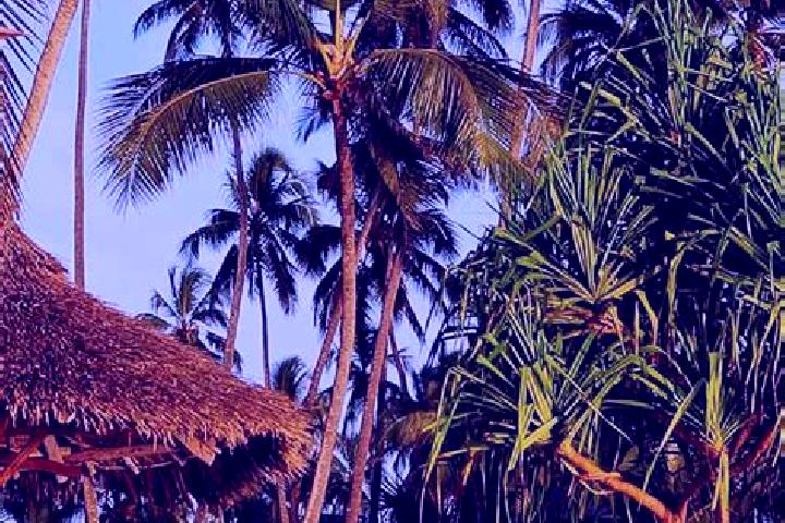 Ivy, 36 — Escort in Kandete, Tanzania