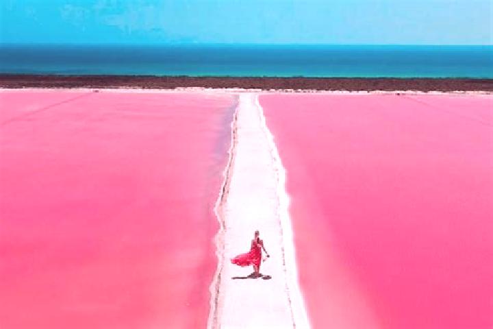 Ivy, 36 — Escort in Laguna Colorada, Mexico