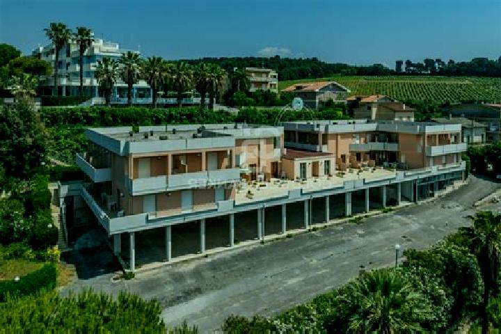 Ivy, 36 — Escort in Massignano, Italy