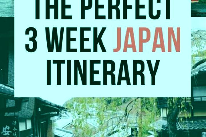 Ivy, 36 — Escort in Matsumae, Japan