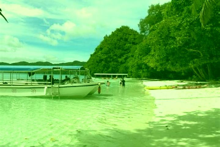 Ivy, 36 — Escort in Ngerbeched Hamlet, Palau