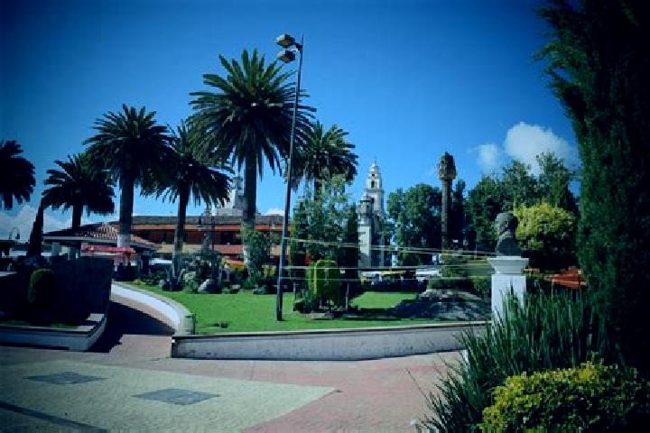 Ivy, 36 — Escort in San Pedro Arriba, Mexico
