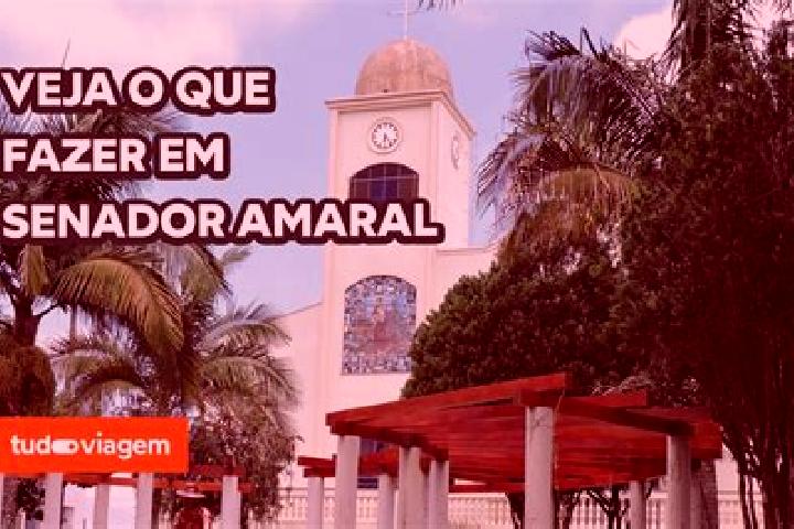 Ivy, 36 — Escort in Senador Amaral, Brazil