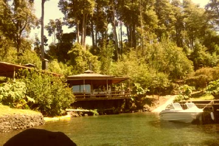 Ivy, 37 — Escort in Catemu, Chile