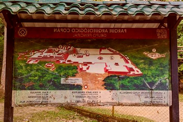 Ivy, 37 — Escort in El Ocoton, Honduras