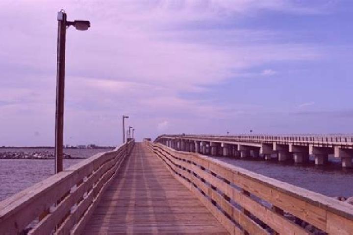 Ivy, 37 — Escort in Grand Isle, United States