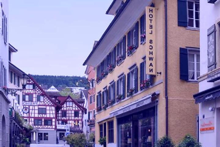 Ivy, 37 — Escort in Horgen / Oberdorf, Switzerland