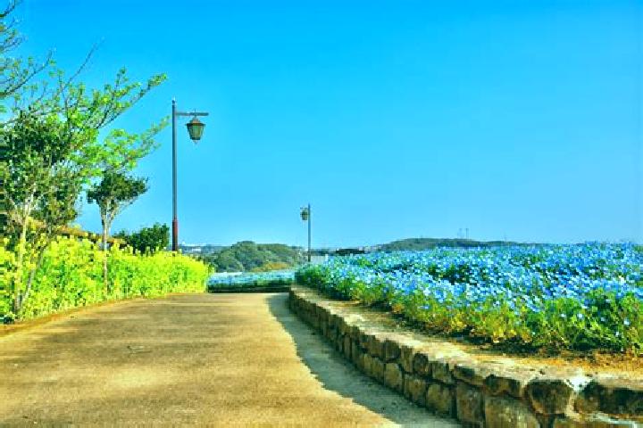 Ivy, 37 — Escort in Kurihama, Japan