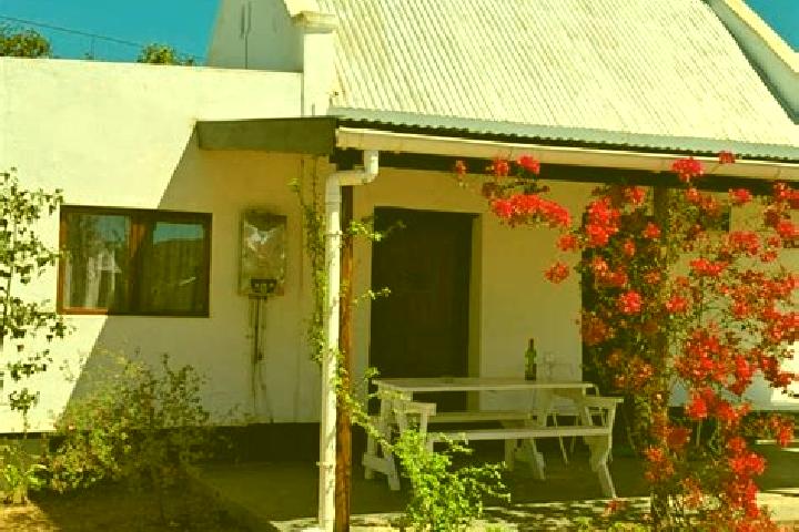 Ivy, 37 — Escort in Ladismith, South Africa