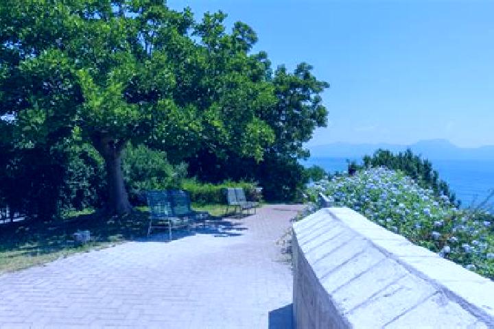 Ivy, 37 — Escort in Parco Mazzola, Italy