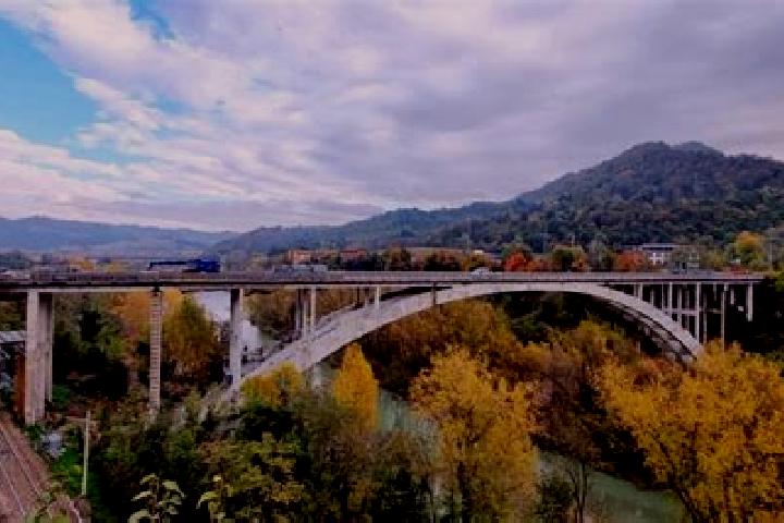 Ivy, 37 — Escort in Ponte Sasso, Italy