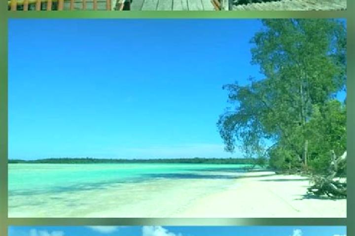 Ivy, 37 — Escort in Pulau Tiga, Indonesia