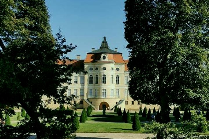 Ivy, 37 — Escort in Rogalin, Poland