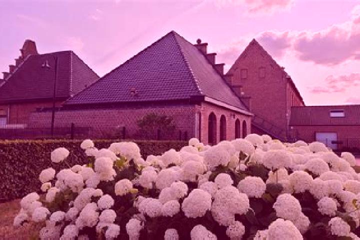 Ivy, 37 — Escort in Templeuve, Belgium