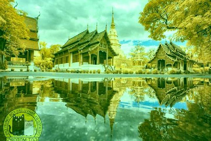 Ivy, 37 — Escort in Wat Tha Phra, Thailand