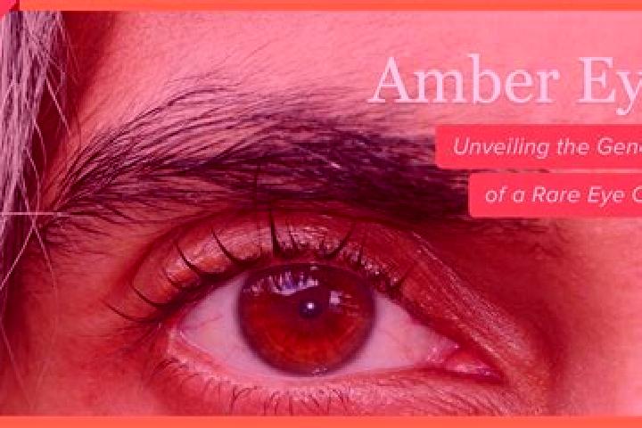 Ivy, 38, a red amber-eyed caucasian companion based in El Torreon. Offering Dinner Date, Girlfriend Experience, Roleplay. Available for incall and outcall, d...