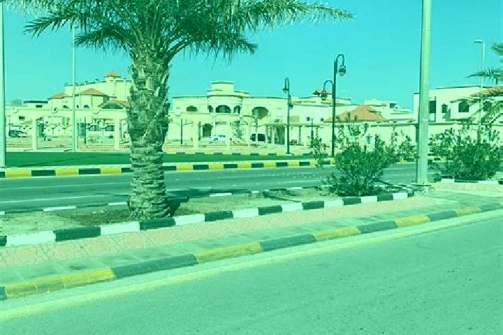 Ivy, 38 — Escort in Al Khafji, Saudi Arabia