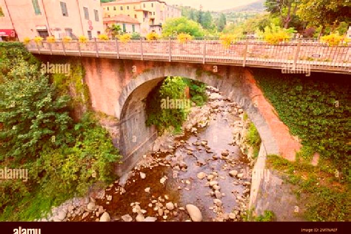 Ivy, 38 — Escort in Bagnone, Italy