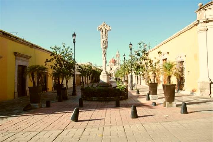 Ivy, 38 — Escort in Cuencame de Ceniceros, Mexico