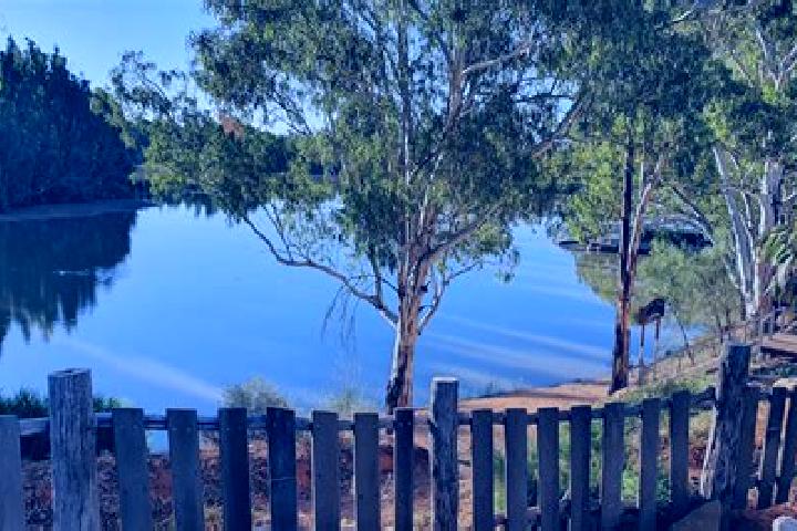 Ivy, 38 — Escort in Glynde, Australia