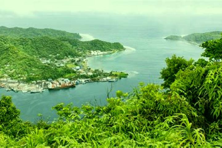 Ivy, 38 — Escort in Ili ili, American Samoa