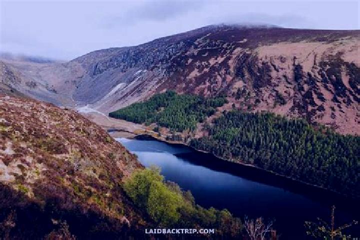 Ivy, 38 — Escort in Mucklagh, Ireland