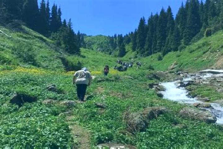 Ivy, 38 — Escort in Yavlenka, Kazakhstan