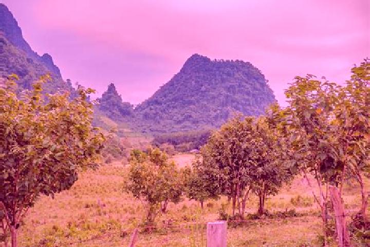 Ivy, 39 — Escort in Ban Xiang-Ngeun, Laos