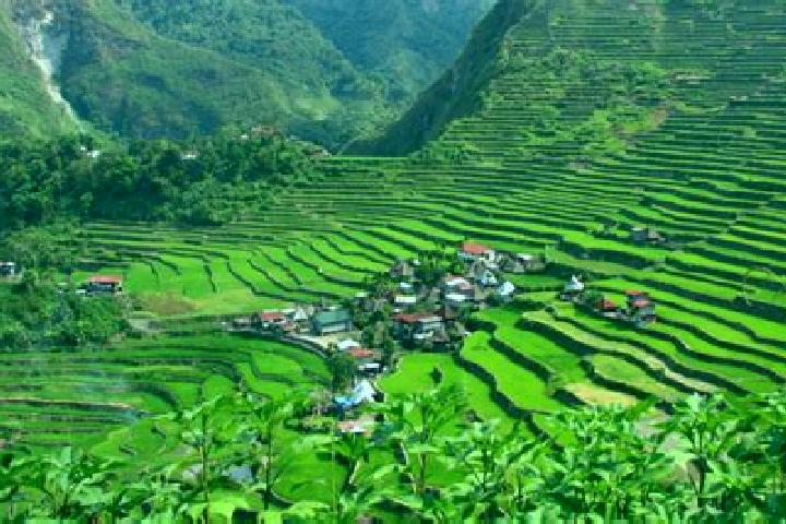 Ivy, 39 — Escort in Batad, Philippines